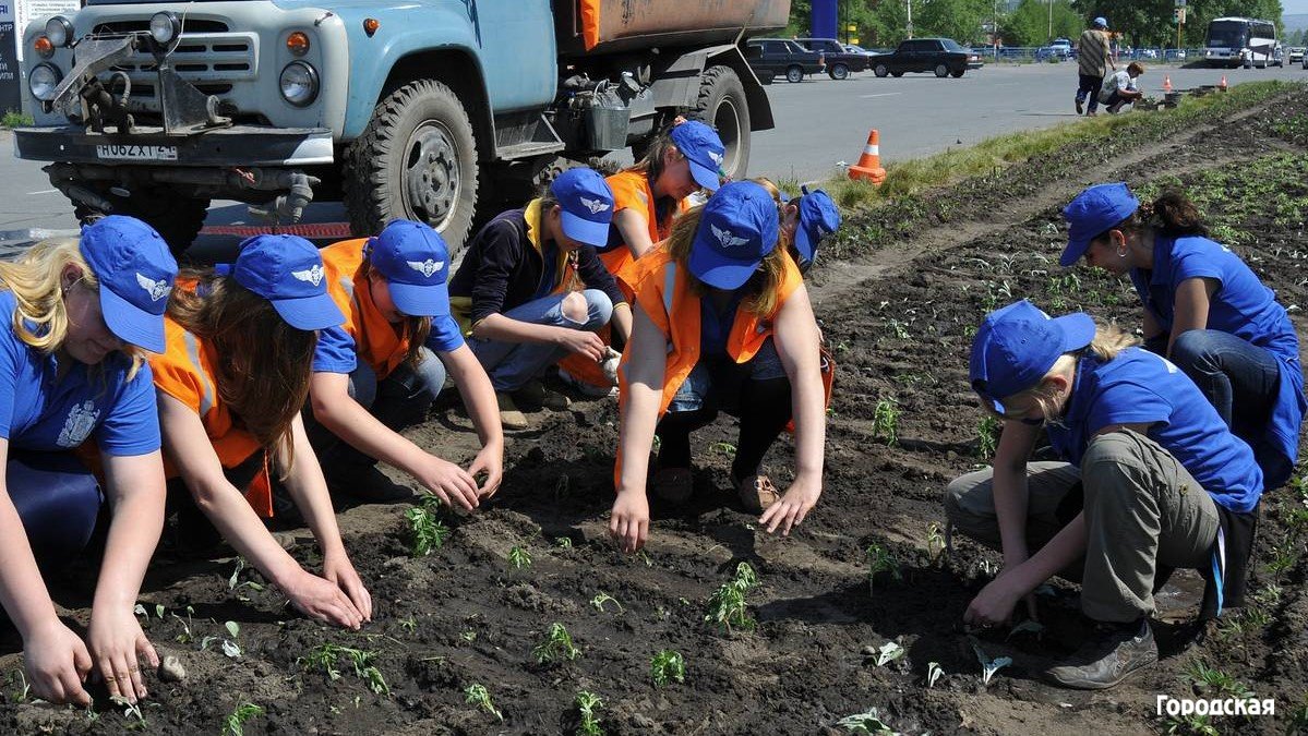 Час в день разрешено работать усольским подросткам | 15.07.2021 | Новости  Усолье-Сибирского - БезФормата